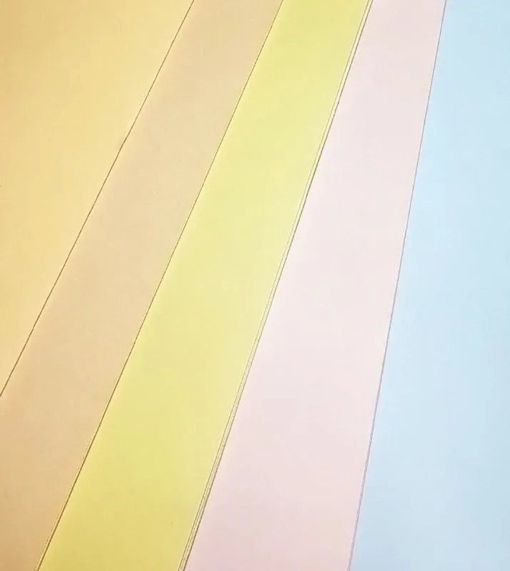 imagen de Cartulina Colores PASTEL LUMA